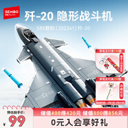 森寶積木軍事拼裝殲擊戰(zhàn)斗機(jī)玩具模型男孩生日禮物 殲20隱形戰(zhàn)斗機(jī)202241