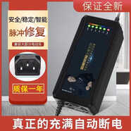 愛瑪公插電動車電瓶充電器48V12AH60V20AH72V32新國標(biāo)石墨烯通用 愛瑪公插60V60AHi2