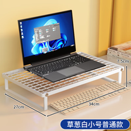 霓峰電腦架筆記本散熱架電腦增高臺(tái)桌面顯示器支架托懸空底座燒烤架子 白色小號(hào)【大網(wǎng)格款】破損苞賠