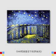 星空數(shù)字油畫畫畫填色梵高數(shù)字油畫星空向日葵藝術感手繪填充系油 HM-梵高-星空下的羅納河 40*50【黑木白金4色外框任選】 2份顏料+6支