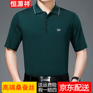 恒源祥短袖T恤男冰絲翻領夏季含桑蠶絲休閑簡約爸爸裝寬松大碼純色父親體恤衫 綠色（3037） 195/5XL建議210斤-230斤