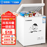 香雪海 小冰柜家用小型冷藏冷凍商用臥式冷柜保鮮迷你 單用節(jié)能省電儲(chǔ)母乳冰柜單門單溫 【一級(jí)能效 省電節(jié)能】 110L