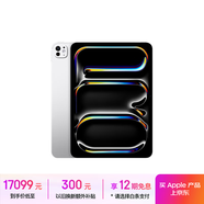 Apple/蘋果 iPad Pro 11英寸 M4芯片 2024年新款平板電腦(2T WLAN版/標(biāo)準(zhǔn)玻璃/MVVH3CH/A)銀色