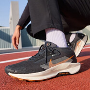 耐克（NIKE）男鞋2025新款夏季運(yùn)動(dòng)鞋GORE-TEX飛馬越野防水跑鞋緩震休閑跑步鞋 FQ0908-007 44