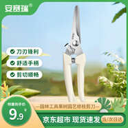 安賽瑞 修枝剪刀果樹(shù)剪園藝剪 盆栽剪花卉工具園林綠植剪刀花藝 5J00327