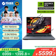 機(jī)械革命【國家補(bǔ)貼20%】蛟龍16Pro 游戲電競筆記本電腦(R9-7845HX 16G 1T RTX4060 165HZ 2.5K 灰)