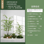 仿真綠植假植物微景觀造景室內(nèi)櫥窗玄關(guān)隔斷陽(yáng)臺(tái)樓梯角落軟裝擺件 春和景明套景(送花泥4塊 朽木隨