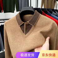 CEO雅戈爾羊絨衫男加厚翻領(lǐng)毛衣休閑中老年假兩件套打底衫爸爸裝 6919花駝 均碼 165/84A【100-120斤】