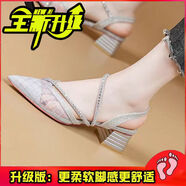 仙女風(fēng)包頭一字帶涼鞋女粗跟2025夏季網(wǎng)紗水鉆法式尖頭百搭高跟鞋 銀色【升級版】 37 (235mm)
