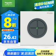 施耐德電氣穿線面板 空白面板帶出線孔 86型暗裝引線面板 境尚系列 純境白