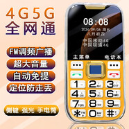 sonim超長待機(jī)老年機(jī)4G全網(wǎng)通定位防走丟微聊帶側(cè)鍵解鎖廣電5g大屏大聲 土豪金 8G內(nèi)存卡（內(nèi)含歌曲) 標(biāo)配：手機(jī)+電池贈(zèng) 充電器保護(hù)套