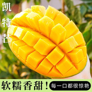 博多客正宗四川攀枝花凱特芒果青皮大芒果新鮮水果當(dāng)季整箱特大凱特芒 5斤一級中果（約8個(gè)）