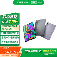 聯(lián)想【國家補貼】聯(lián)想小新pad 學(xué)生學(xué)習(xí)平板辦公平板 護眼全面屏 二合一平板 安卓平板 8+256G 官方標(biāo)配鴿子灰