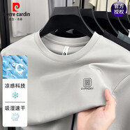 皮爾卡丹（pierre cardin）2025夏季新款短袖t恤男士圓領無痕冰絲寬松上衣半袖體恤衫 短袖25269淺灰 XL 建議130-155斤