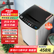 志高（Chigo）6.5公斤家用全自動洗衣機藍光洗護租房公寓智能波輪洗脫一體機帶風干功能XQB65-818A寶石灰