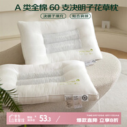 艾薇 A類全棉60支決明子護(hù)頸枕纖維枕頭宿舍家用枕芯48*74cm 決明白