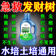 發(fā)財樹(shù)專(zhuān)用營(yíng)養液吊針液發(fā)黃掉葉子枯葉爛根肥料樹(shù)木復活液激活劑 發(fā)財樹(shù)復活液【500ml】5瓶