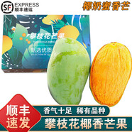 【順豐直達(dá)】四川攀枝花椰香芒果特大果現(xiàn)摘老樹(shù)新鮮當(dāng)季現(xiàn)摘雞蛋 3斤 小果 單果80克起 順豐 椰香芒