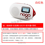 樂(lè)果（NOGO） 便攜插卡音響老人隨身聽(tīng)FM收音機(jī)迷你音箱MP3播放器 藍(lán)牙版 白紅+16G卡 網(wǎng)袋 長(zhǎng)掛繩