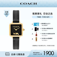 蔻馳（COACH）CASS系列 皮帶石英女表小方糖14504225 七夕禮物/送禮