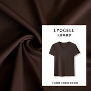 修嫻（soossn）V領(lǐng)純色短袖天絲上衣夏新款2025百搭修身時(shí)尚顯瘦 摩卡咖 M