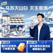 烏蘇啤酒（wusu）京東自營天山清爽白啤精釀阿克蘇小麥500ml*12罐整箱裝