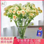 悅多彩優(yōu)質(zhì)水養(yǎng)鮮切花 母親節(jié)三八節(jié)花束 昆明基地現(xiàn)采直發(fā)順豐生活鮮花 多頭玫瑰—牛油果 10支
