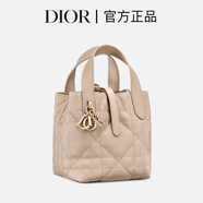 DIOR迪奧微型 DIOR TOUJOURS 胭脂米色豎版手袋