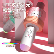 隨豪隨豪兒童話(huà)筒音箱一體機(jī)無(wú)線(xiàn)藍(lán)牙唱歌K歌小學(xué)生生日禮物男孩女孩4-14歲兒童玩具智能麥克風(fēng) 粉紅色:藍(lán)牙音箱一體機(jī)