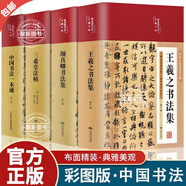【官方正版】彩圖精裝中國(guó)書法一本通 書法史王羲之蘭亭序篆楷草書三希堂法帖顏真卿基礎(chǔ)理論常識(shí)書法篆書楷書草書顏真卿趙孟頫基礎(chǔ)理論常識(shí)鑒賞書法簡(jiǎn)史技法源流教程鑒賞技法源流教程培訓(xùn)字帖大全百科入門教材書籍 