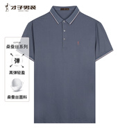 才子（TRIES）商務休閑POLO衫夏季短袖撞色條紋翻領T恤桑蠶絲柔順透氣時尚上衣 灰藍色 XL 50(175/92A)