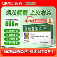 五盒裝 葵花 蒲地藍消炎片 0.31g*60片 清熱解毒 抗炎消腫 咽炎扁桃體發(fā)炎 喉嚨痛 牙齦腫痛 消炎藥去火上火
