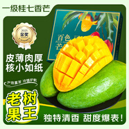 顏曼箐桂七芒果 廣西百色新鮮水果田東桂七芒熱帶大青皮香甜禮盒裝 5斤實惠裝【單果150-200g】 原產(chǎn)地直發(fā)