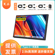 夏晶 便攜顯示器2k觸摸屏 手機筆記本電腦擴展副屏 switch/PS4/5外接便攜屏 10.1英寸 2.5K Type-C（A-款）