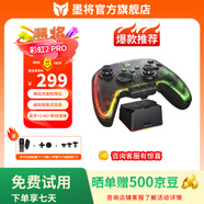 墨將彩虹2PRO無(wú)線(xiàn)游戲手柄Switch類(lèi)xbox筆記本PC藍牙有線(xiàn)電腦手機電視steam雙影奇境黑神話(huà) 套裝版