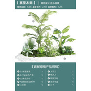 塑料仿真花類(lèi)田園風(fēng)格綠植仿真綠植盆栽室內盆景裝飾餐廳場(chǎng)景綠植 賽里木湖/套