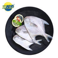 三都港 冷凍東海銀鯧魚(yú)凈重450g/3條裝 平魚(yú) 海魚(yú)生鮮魚(yú)類(lèi) 中秋