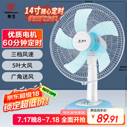 華生（Wahson）電風扇/臺扇/落地扇/低音風扇/大風量家用定時電扇空調伴侶交流定頻電風扇 FT-A1401 