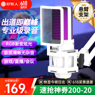 好牧人 錄音設(shè)備直播麥克風(fēng)電腦USB筆記本臺(tái)式主播話筒K歌游戲有聲書專業(yè)配音YY語音視頻會(huì)議電容麥 白色【USB·電腦用】-RGB彩燈+懸臂支架
