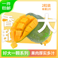 京鮮生 攀枝花好大一顆凱特芒 單果2斤 2粒4斤裝 生鮮水果 源頭直發(fā)