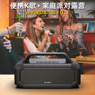維爾晶維爾晶D11手提便攜K歌藍(lán)牙音響U盤播放炫酷燈效六級(jí)防水低音炮家庭移動(dòng)KTV支持雙麥K歌藍(lán)牙音箱 黑色單麥