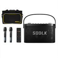 LUAMAR柏林之聲三分頻德國品質(zhì)大功率戶(hù)外K歌音箱樂(lè )器無(wú)線(xiàn)藍牙音響重低音炮多重音效長(cháng)續航手提便攜 單音箱+遙控器+2支麥克風(fēng)+包包