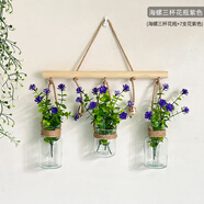 oeny墻面裝飾遮丑創(chuàng)意掛件貼飾壁飾裝飾貼北歐ins風(fēng)創(chuàng)麻繩海螺玻璃瓶 海螺三杯花瓶紫色