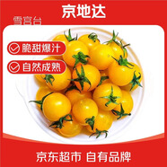 京地達(dá)山東壽光黃色圣女果水果小番茄凈重4.5斤單果8g+源頭直發(fā)包郵