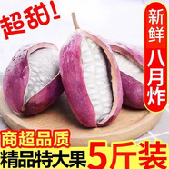 祁語(yǔ)新鮮貴州八月瓜水果八月炸5斤九月黃當季甜香瓜大果預知子整箱 凈重五斤裝 中果單果100g左右