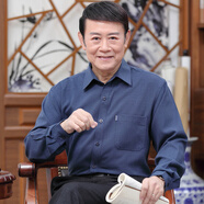 SEPTWOLVES七匹狼旗下爸爸襯衫中老年人男長(zhǎng)袖純棉麻薄款寬松60-70-80歲爺爺 藏青細(xì)條紋棉麻細(xì)條紋長(zhǎng)袖 3XL 44碼/190/適合185斤左右