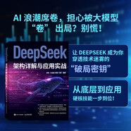 DeepSeek架構(gòu)詳解與應(yīng)用實戰(zhàn) 大語言模型 大模型開發(fā)實戰(zhàn) AI應(yīng)用 人工智能原理剖析 