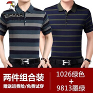 啄木鳥(niǎo)（TUCANO）桑蠶絲短袖T恤男士夏季中老年寬松體恤翻領(lǐng)百搭上衣爸爸裝 1026綠色+9813墨綠 M 165【建議95-120斤】