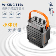 維爾晶（W-King）T15S手提藍牙音響大功率 顏色隨機