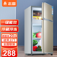 志高（CHIGO）小冰箱迷你小型家用冷藏冷凍兩用宿舍出租房用雙門辦公室電冰箱節(jié)能省電 【一級能效】48L金色【三天約一度電】
